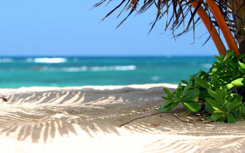 Travel Mart Solution